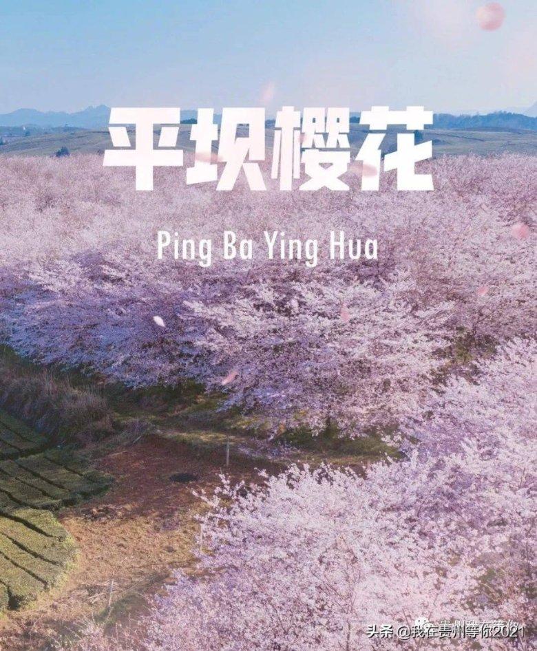 你喜欢看球吗？你觉得看球的吸引力有多大？游戏画面